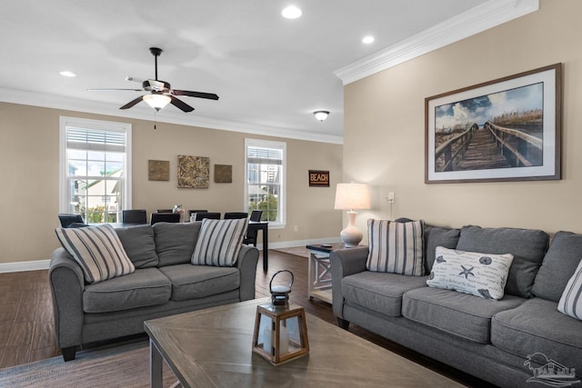 living room featuring ceiling fan, crown molding, and dark wood-type flooring