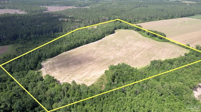 PARCEL17 Mineral Springs Rd, Jay, FL 32565