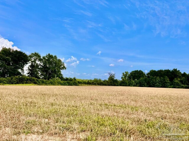 PARCEL17 Mineral Springs Rd, Jay, FL 32565