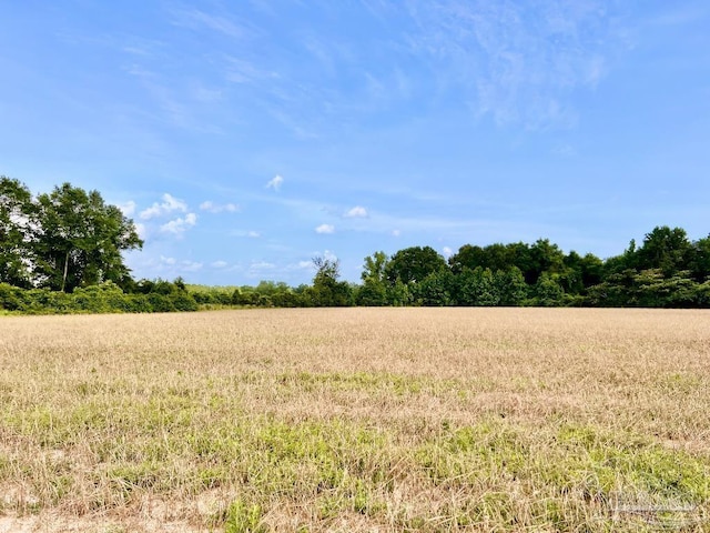 PARCEL17 Mineral Springs Rd, Jay, FL 32565