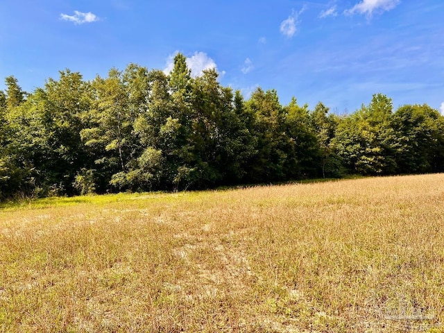 PARCEL17 Mineral Springs Rd, Jay, FL 32565