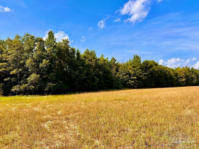 PARCEL17 Mineral Springs Rd, Jay, FL 32565