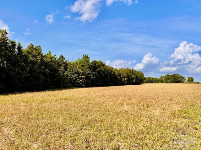 PARCEL17 Mineral Springs Rd, Jay, FL 32565