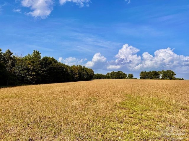PARCEL17 Mineral Springs Rd, Jay, FL 32565