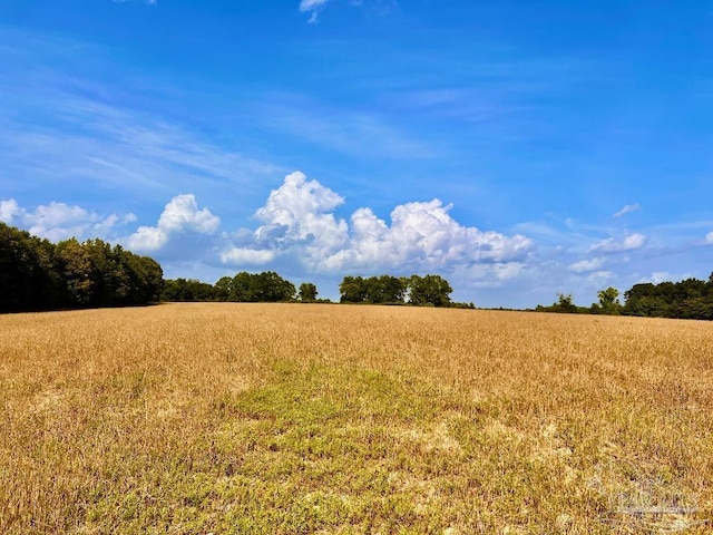 PARCEL17 Mineral Springs Rd, Jay, FL 32565