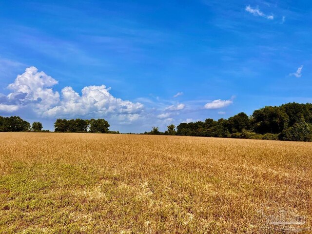 PARCEL17 Mineral Springs Rd, Jay, FL 32565