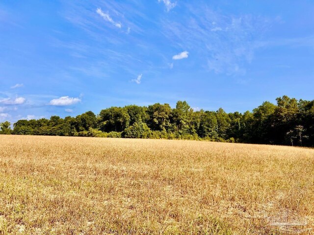 PARCEL17 Mineral Springs Rd, Jay, FL 32565