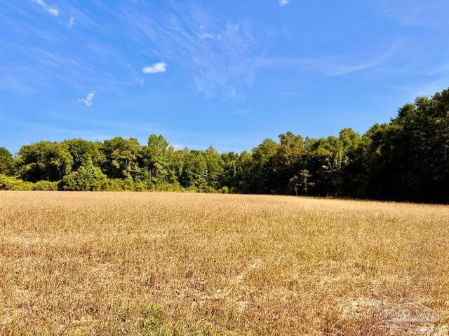 PARCEL17 Mineral Springs Rd, Jay, FL 32565