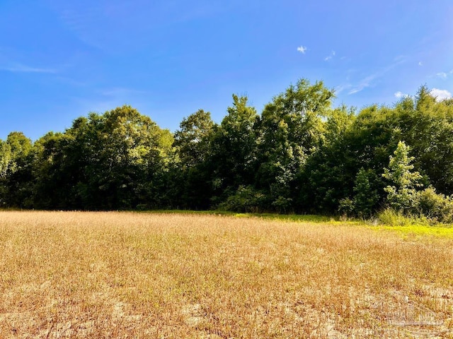 PARCEL17 Mineral Springs Rd, Jay, FL 32565