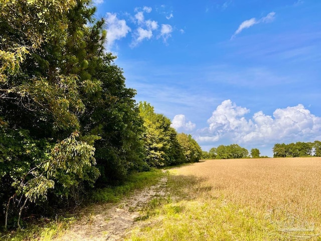 PARCEL17 Mineral Springs Rd, Jay, FL 32565