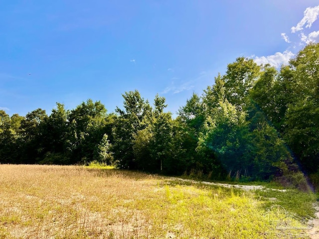 PARCEL17 Mineral Springs Rd, Jay, FL 32565