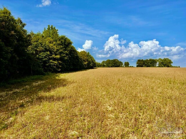 PARCEL17 Mineral Springs Rd, Jay, FL 32565