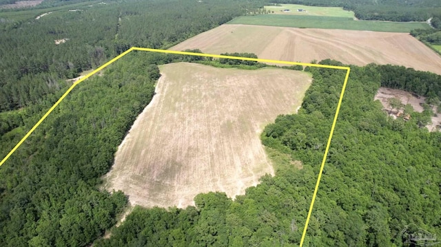 PARCEL17 Mineral Springs Rd, Jay, FL 32565