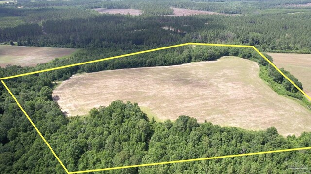 PARCEL17 Mineral Springs Rd, Jay, FL 32565