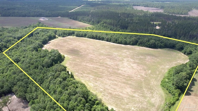 PARCEL17 Mineral Springs Rd, Jay, FL 32565