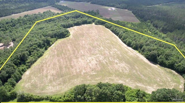 PARCEL17 Mineral Springs Rd, Jay, FL 32565