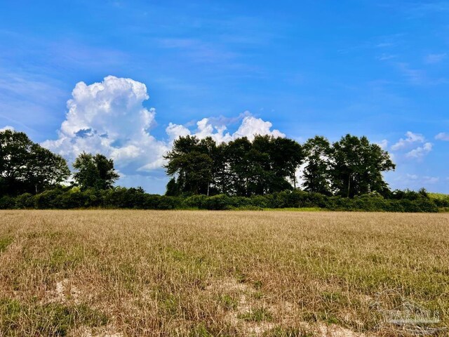 PARCEL17 Mineral Springs Rd, Jay, FL 32565