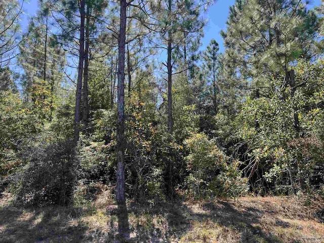 0001 Sid Hayes Rd, Jay, FL 32565
