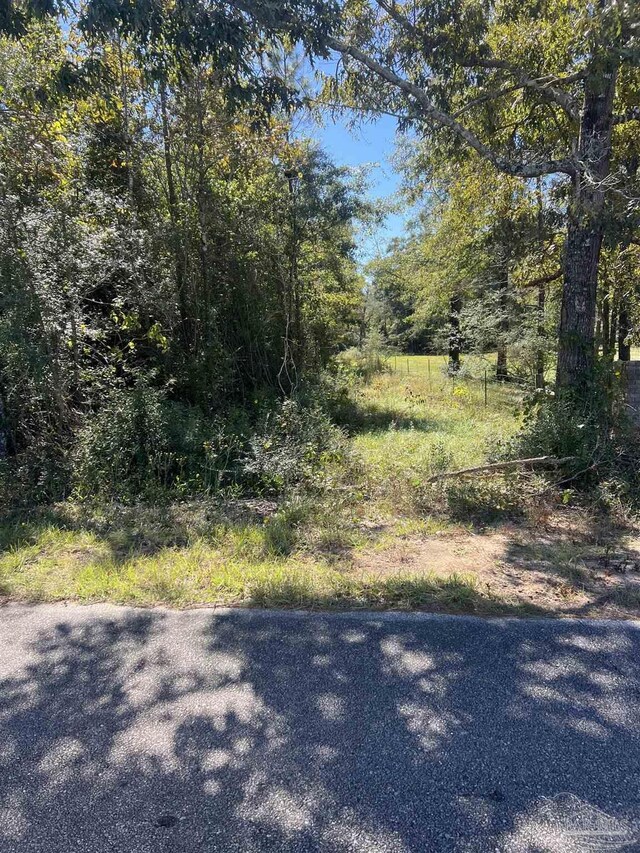 0001 Sid Hayes Rd, Jay, FL 32565