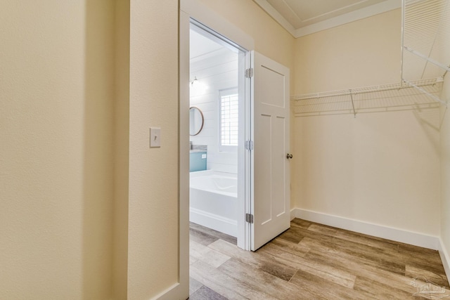 walk in closet featuring light wood-type flooring