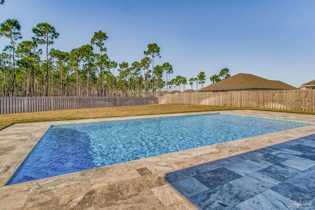 view of swimming pool featuring a patio and a lawn