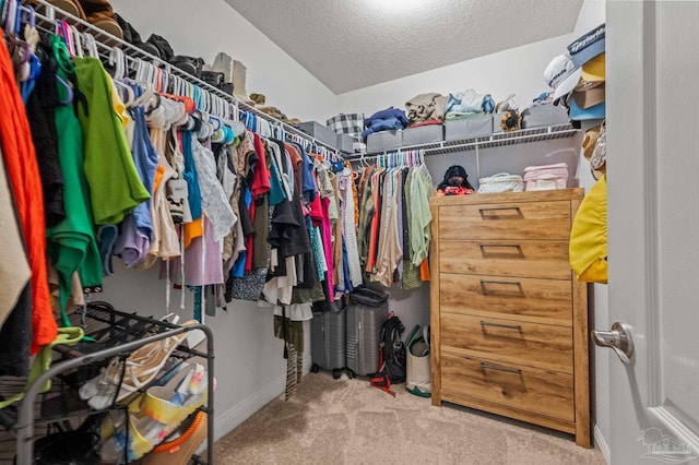 8820 Smiley Ct, Pensacola, FL 32514 - walk in closet with carpet floors