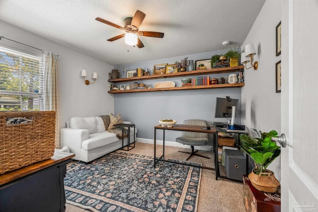 8820 Smiley Ct, Pensacola, FL 32514 - office space featuring a ceiling fan, carpet flooring, and a textured ceiling
