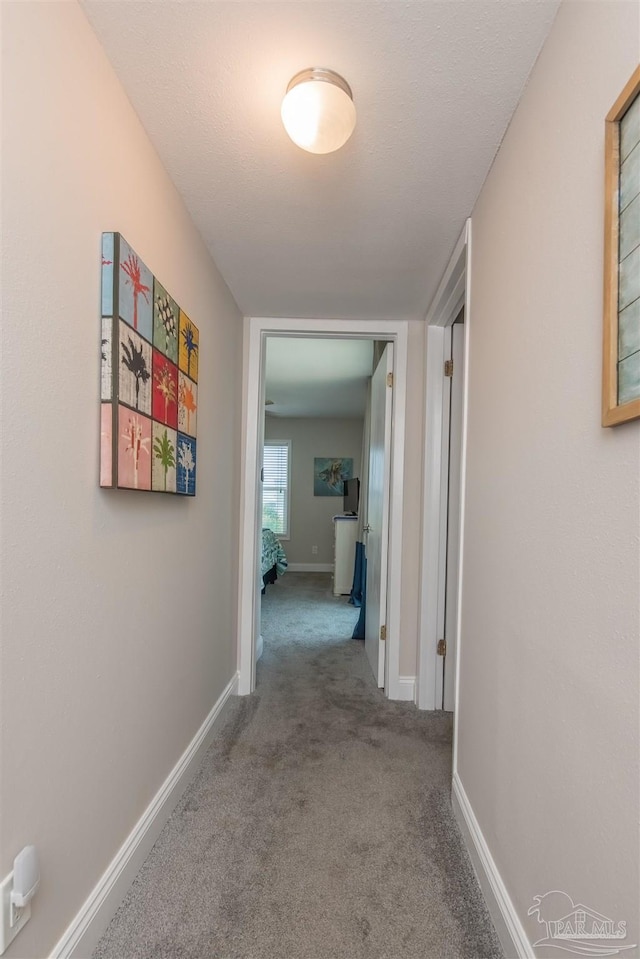 hallway featuring carpet