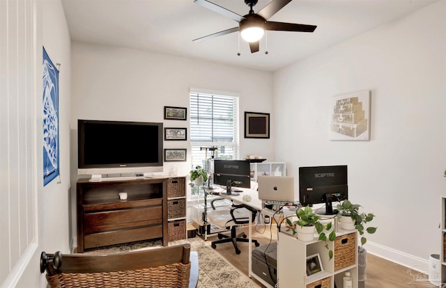 home office with ceiling fan and light hardwood / wood-style flooring