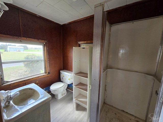 bathroom with hardwood / wood-style floors, wood walls, toilet, and sink