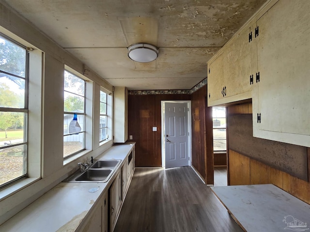 kitchen featuring wood walls, sink, and dark wood-type flooring