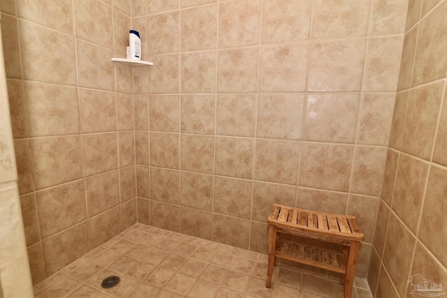 645 Lost Key Dr Unit 406D, Perdido Key, FL 32507 - full bath with a tile shower