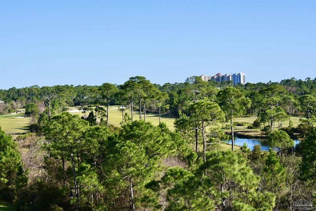 645 Lost Key Dr Unit 406D, Perdido Key, FL 32507 - exterior space