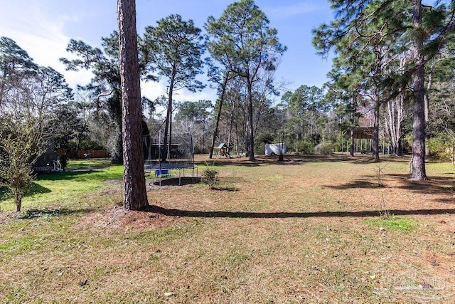 view of yard featuring playground community and a trampoline