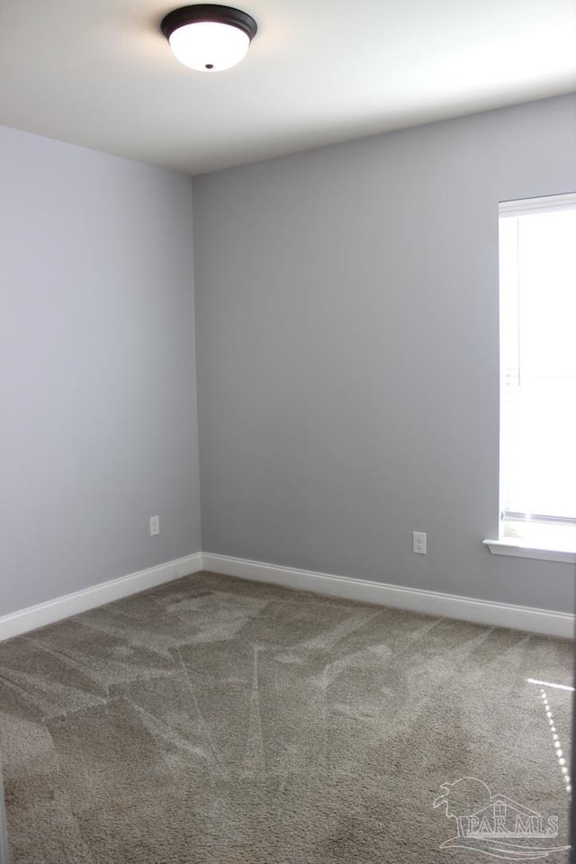 carpeted empty room featuring a wealth of natural light