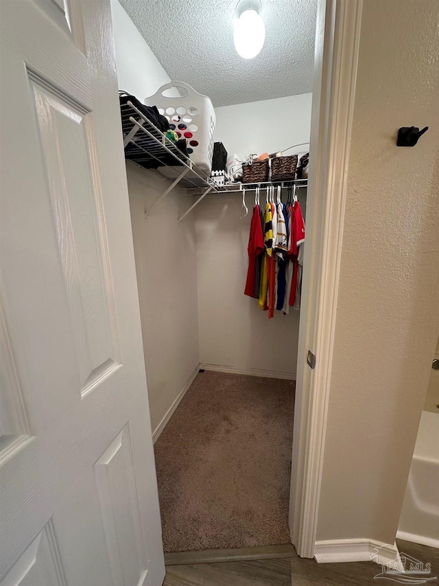 spacious closet with carpet