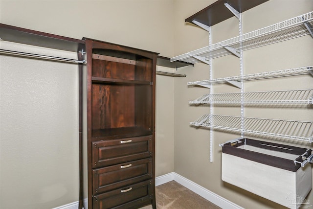 2882 Tunnel Rd, Pace, FL 32571 - view of walk in closet