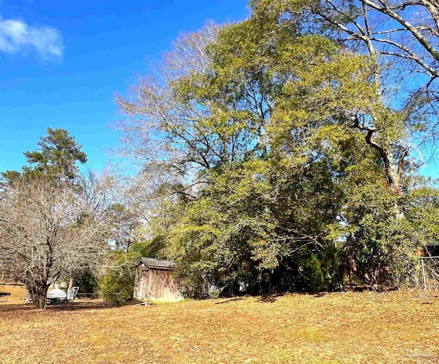 view of yard featuring a storage unit