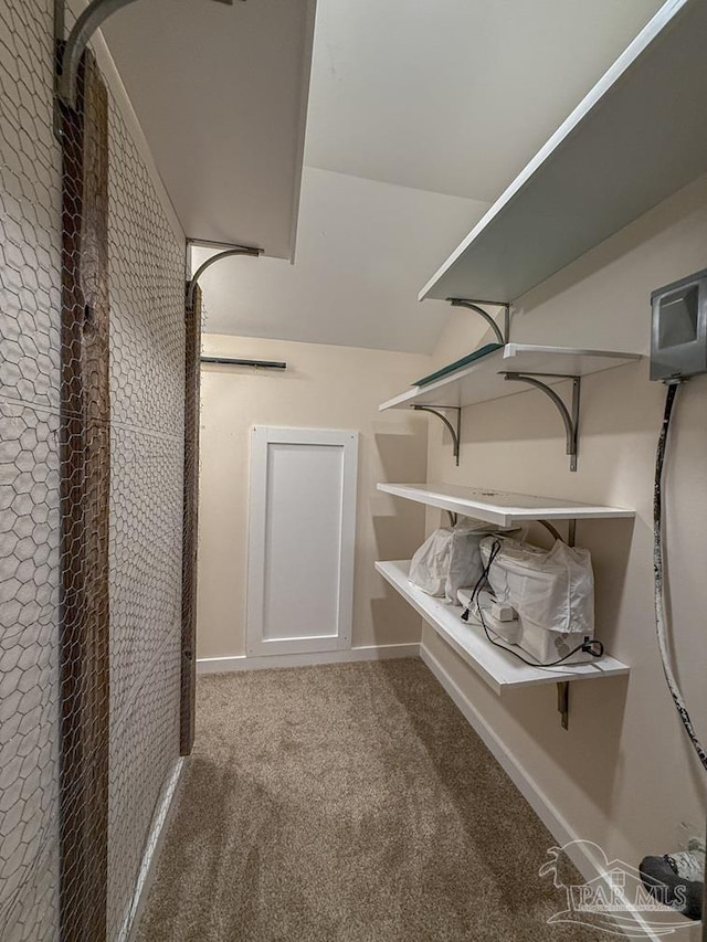 9873 Chumuckla Springs Rd, Jay, FL 32565 - walk in closet featuring carpet floors