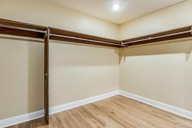 walk in closet featuring hardwood / wood-style flooring