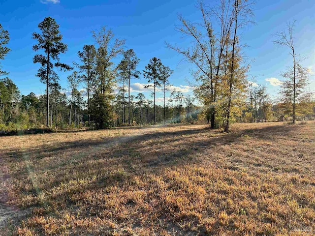 2046 Ten Mile Rd, Pace FL, 32571 land for sale