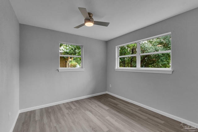 unfurnished room featuring ceiling fan and light hardwood / wood-style flooring