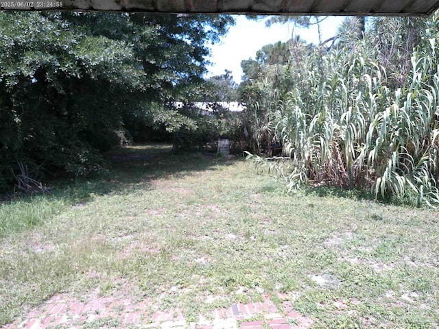 925 Bremen Ave Unit A & B, Pensacola, FL 32507 - view of grassy yard