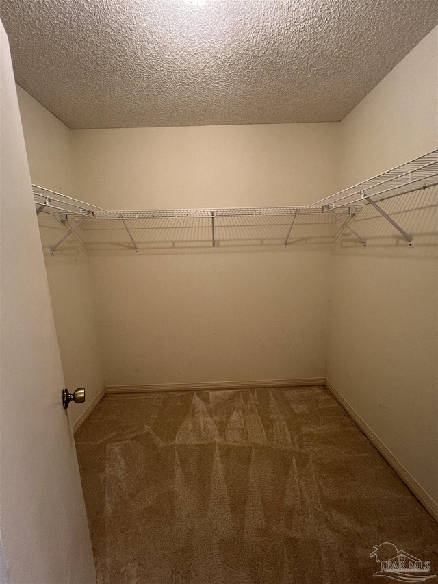 spacious closet featuring carpet