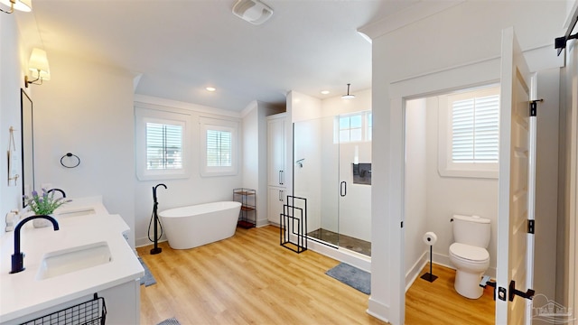 full bathroom featuring toilet, vanity, shower with separate bathtub, and hardwood / wood-style flooring