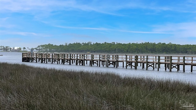 dock area with a water view