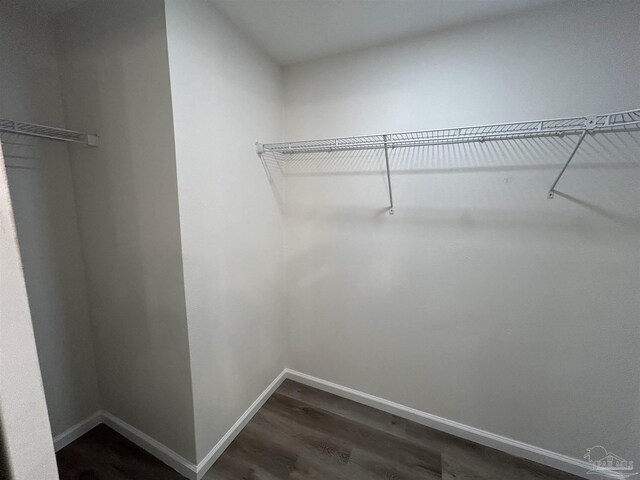 spacious closet featuring dark wood-type flooring