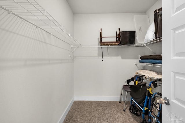 walk in closet featuring carpet