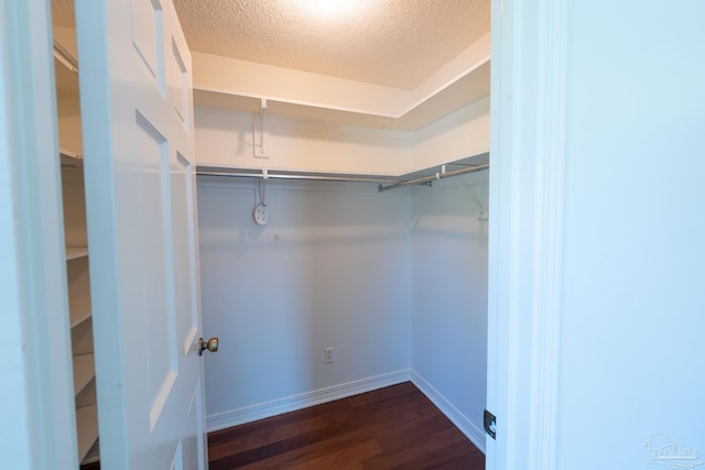 spacious closet with dark wood-type flooring