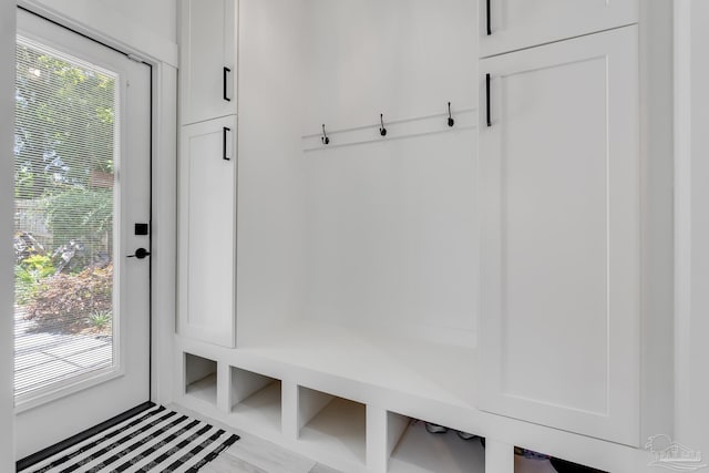 1132 N I St, Pensacola, FL 32501 - mudroom featuring plenty of natural light